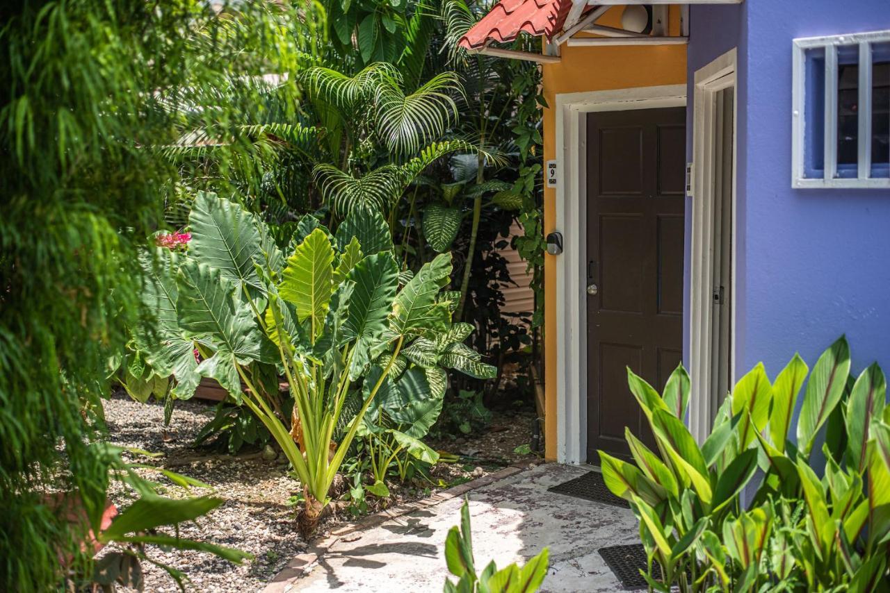 Jaco Lodge Quiet Place (Adults Only) Exterior foto